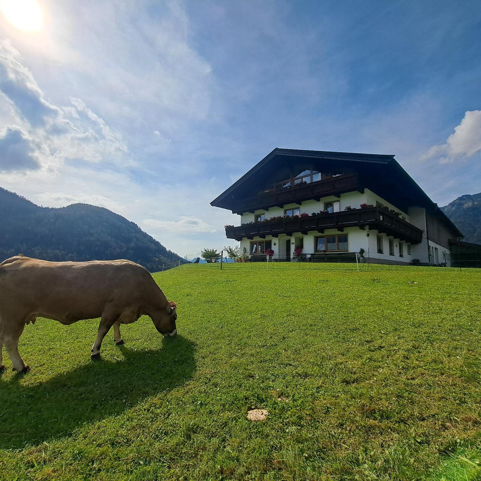 Bommerhof Waidring Ngoại thất bức ảnh